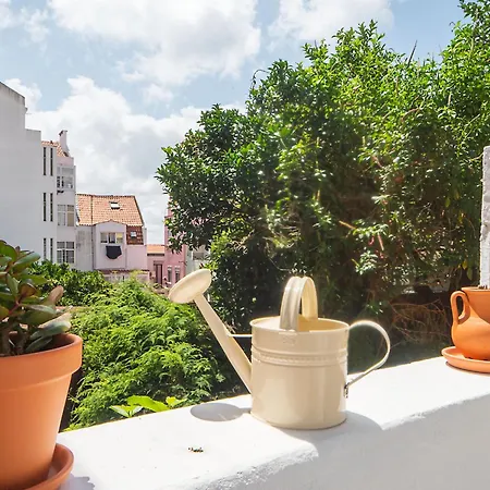Graca Delight Terrace By Hosty Apartment Lisbon